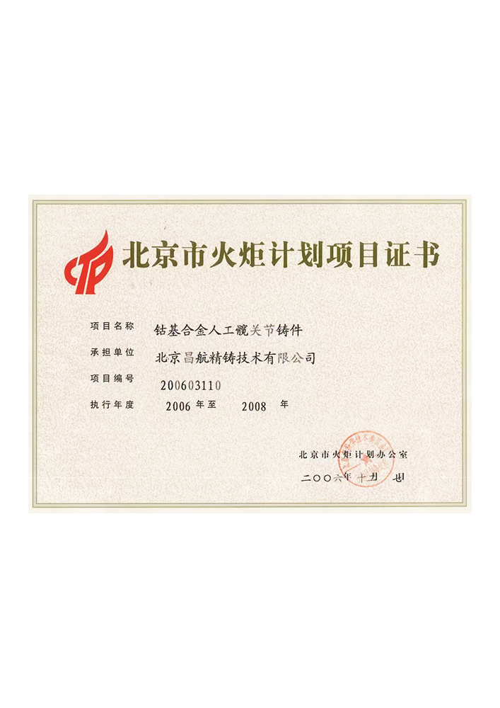 Torch Program Project Certificate