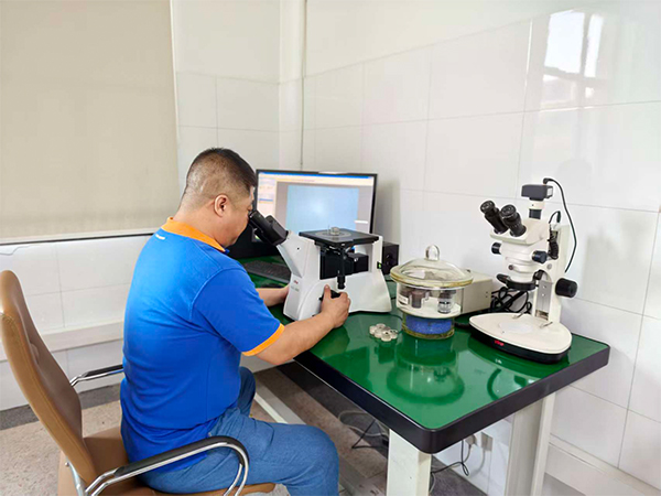 Metallographic Analysis
